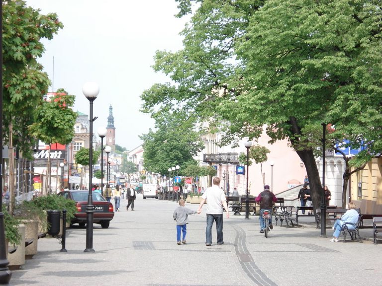 W Radomiu dotują wymianę ogrzewania