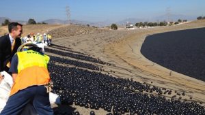 Czarne kule pochłaniające światło - sposób Kalifornii na walkę z suszą