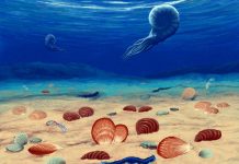 Tropikalny ocean… w Poznaniu