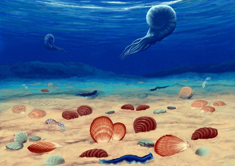 Tropikalny ocean… w Poznaniu