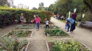 Warszawa: ogródki edukacyjne dla najmłodszych