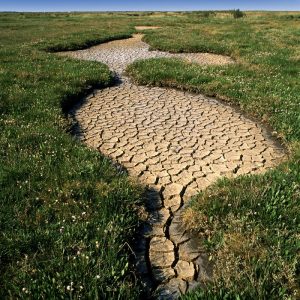 Eksperci alarmują – susza w Europie jeszcze się nie skończyła