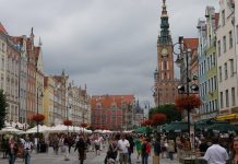 W Gdańsku produkują kompost z mokrych odpadów
