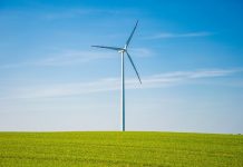 PSEW: aukcje OZE w Europie pokazały liczne zagrożenia, które mogą dotknąć polski system aukcyjny