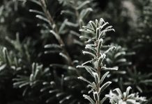 Sprawdź ile wiesz o ochronie środowiska w naszym QUIZIE Komunalnym!