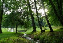 Park Oruński w Gdańsku zyskuje nowe życie