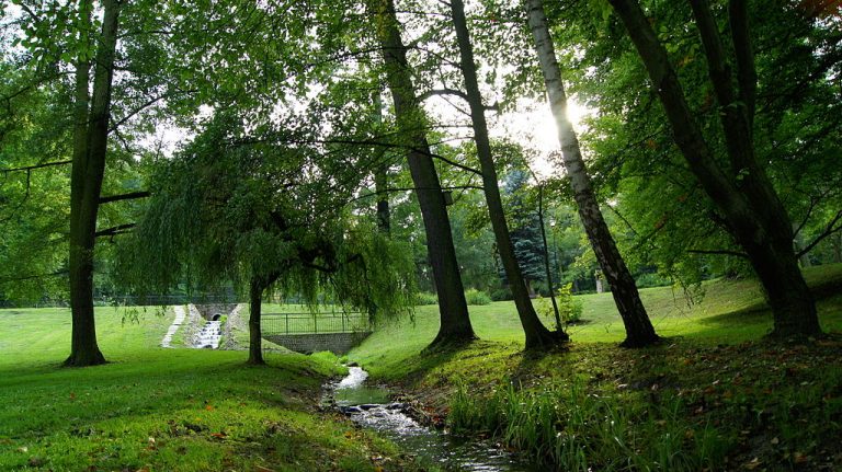 Park Oruński w Gdańsku zyskuje nowe życie