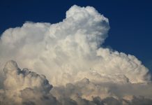 Cztery kraje odpowiadają za niemal połowę globalnych emisji azotu