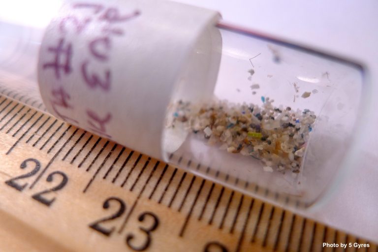 USA zakazuje szkodliwych dla środowiska produktów z mikroplastikami