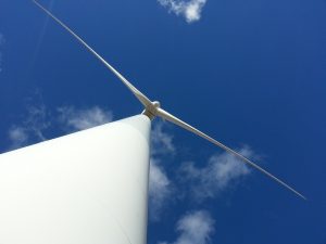 IKEA inwestuje w odnawialne źródła energii