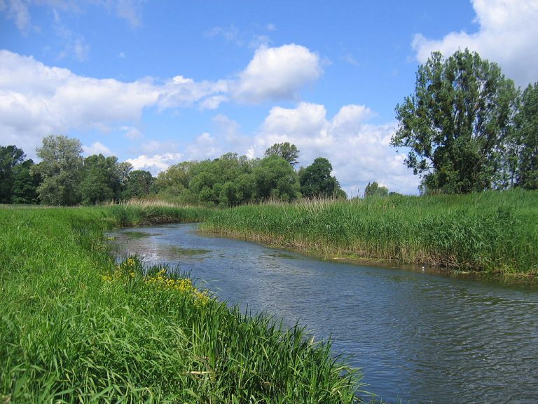 Rzeka Widawa skorzysta z nowej kanalizacji