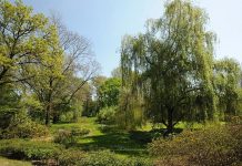Ruszyły prace w krakowskim Parku Aleksandry