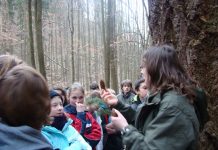 Dolnośląską “Salamandrę” odwiedzi w tym roku nawet 11 tys. uczniów