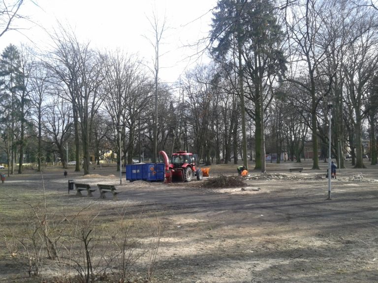 Park im. Łyczywka w Szczecinie wypięknieje