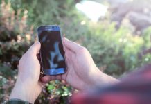 Smartfony pozwolą ocenić czystość powietrza smartfon w lesie