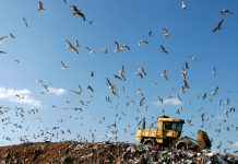 “Eksploatacja i rekultywacja składowisk odpadów” już niedługo w Szczyrku! Landfill with bulldozer working, against beautiful blue sky full of sea birds. Great for environment and ecological themes