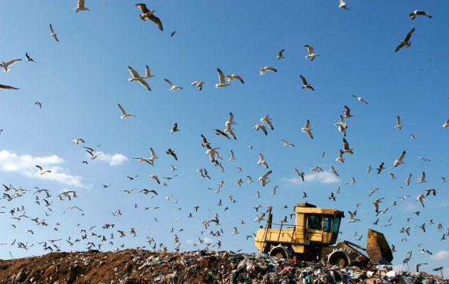Landfill with bulldozer working, against beautiful blue sky full of sea birds. Great for environment and ecological themes