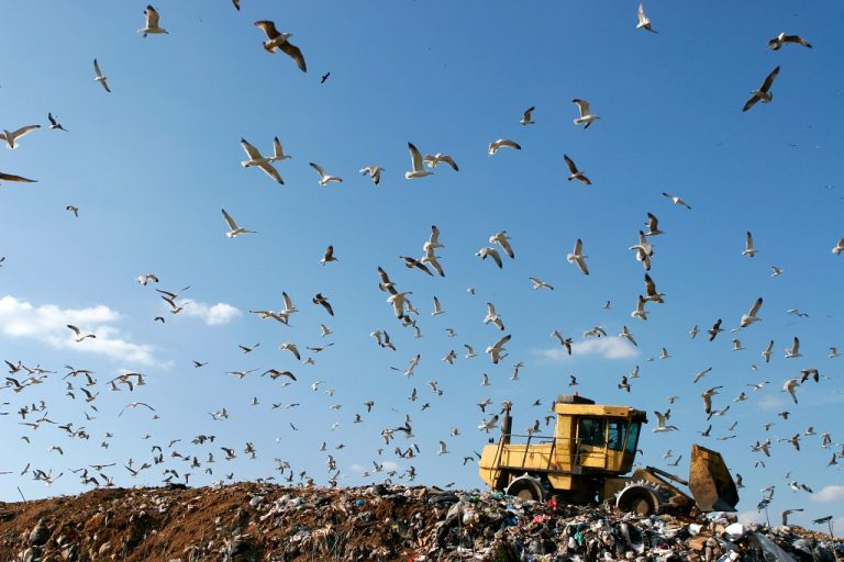 Nierealne do spełnienia poziomy recyklingu? Cała Europa ma problemy z odpadami
