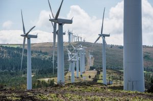 Branża energetyki wiatrowej  na rozdrożu