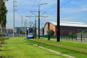We Wrocławiu powstaną zielone przystanki