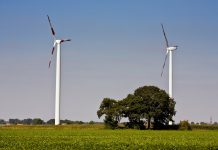 Rzecznik Praw Obywatelskich przeciwko farmom wiatrowym na Suwalszczyźnie