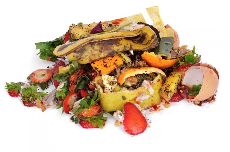 Food Waste Hackathon startuje we Wrocławiu