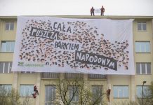 Greenpeace manifestuje na budynku Ministerstwa Środowiska