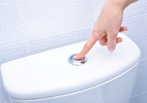 Czy Amerykanie będą spłukiwać toalety deszczówką?