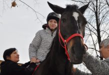 Rusza akcja „Zbieraj makulaturę, ratuj konie”