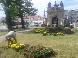 W Szczecinie posadzą ponad 100 tys. kwiatów