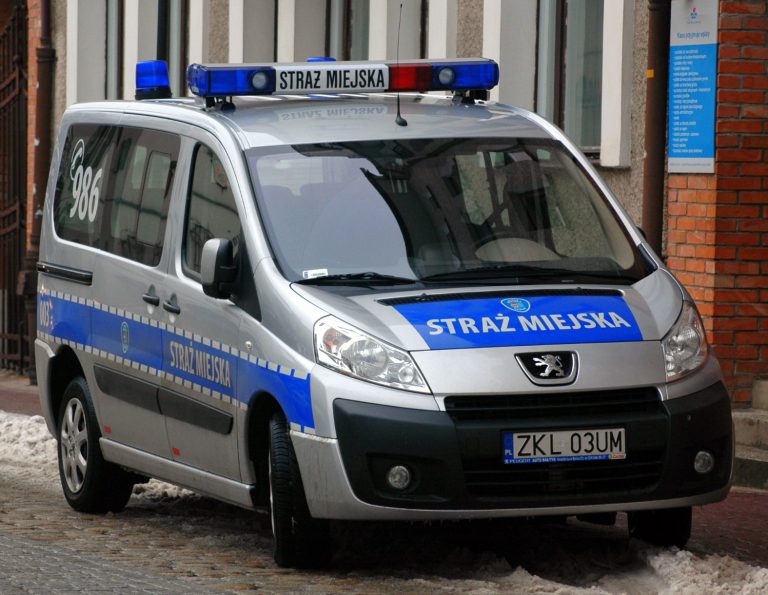 NIK o pracy straży miejskiej