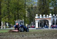 Warszawski ZOM odświeży 8 hektarów trawników w stolicy