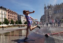 Jesteś na bieżąco z ochroną środowiska? Rozwiąż ten QUIZ!
