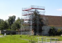 Obumiera najstarsze drzewo w Europie Środkowej