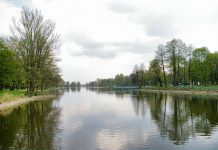 Oczyszczanie łódzkich stawów z dofinansowaniem