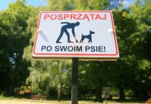 Gorzów – miasto przyjazne psom