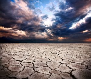 Co mówi nowe Prawo wodne na temat suszy?
