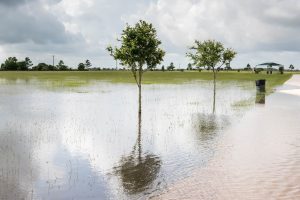 Nowe Prawo wodne – co przyniesie jednostkom samorządu terytorialnego?