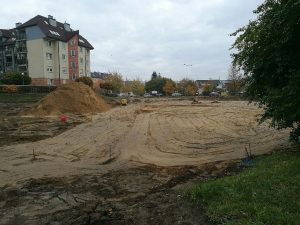 Szczeciński Park Majowe z tysiącem nasadzeń