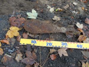 W szczecińskim parku znaleziono materiały wybuchowe
