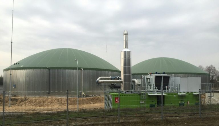 Ardanowski: biomasa może dać miliardy metrów sześcienny biogazu rocznie