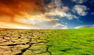 Prawie połowa Polaków neguje ocieplenie klimatu