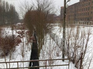 W Łodzi dwie podziemne rzeki wypłyną na powierzchnię