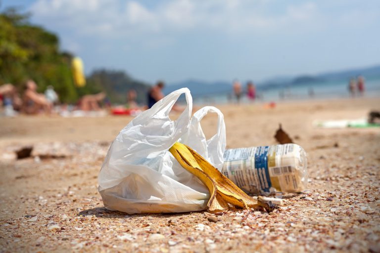 Setki ton plastikowych śmieci na odległych wyspach Oceanu Indyjskiego
