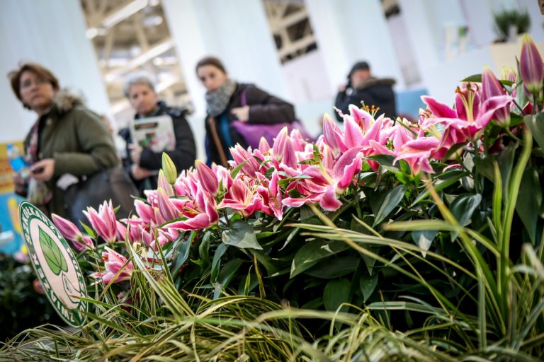 Poznań rozkwitnie na wiosnę. Targi Gardenia 2017 już od czwartku na MTP