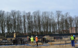 Warszawa: 440 drzew uratowanych od wycinki