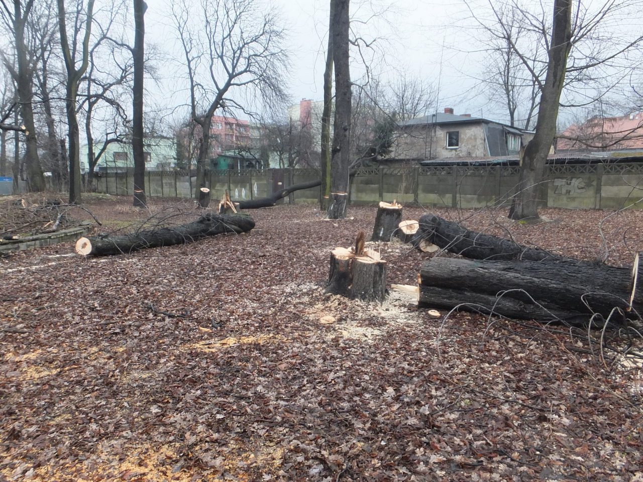 Ustawa O Ochronie Przyrody Na Czwartkowym Posiedzeniu Sejmu