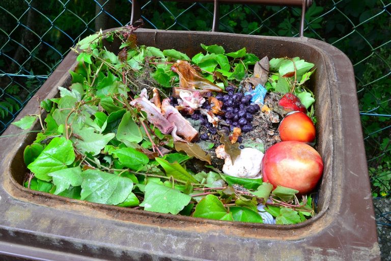 Europejczycy wyrzucają do śmieci 17 mld kg owoców i warzyw rocznie
