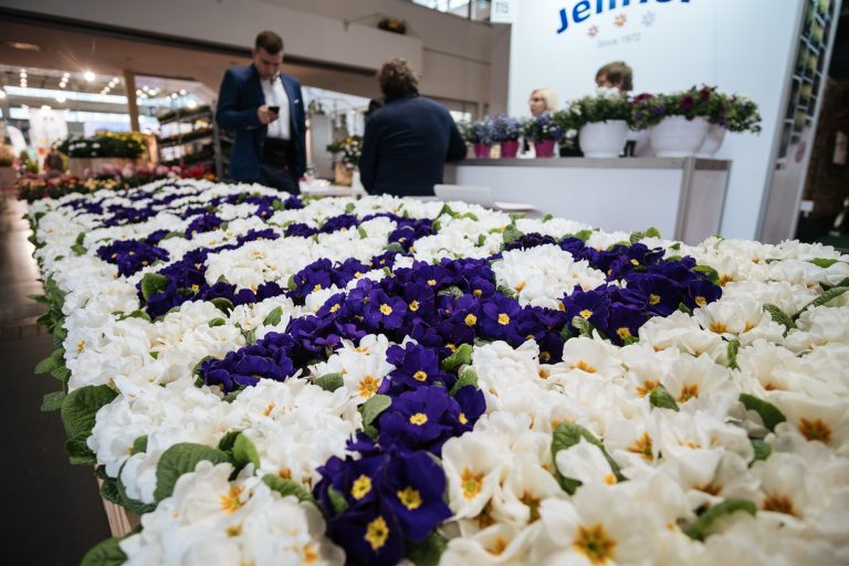 Gardenia 2018 już od czwartku w Poznaniu!