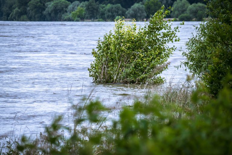 7,7 mln zł od NFOŚiGW na przeciwdziałanie zagrożeniom środowiska